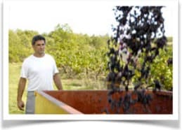 Vin de Cahors bio : que change la certification dans la bouteille ?